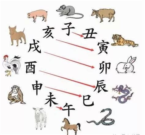 聖經取公司名|圣经中哪些公司取了比较有名的名字？？